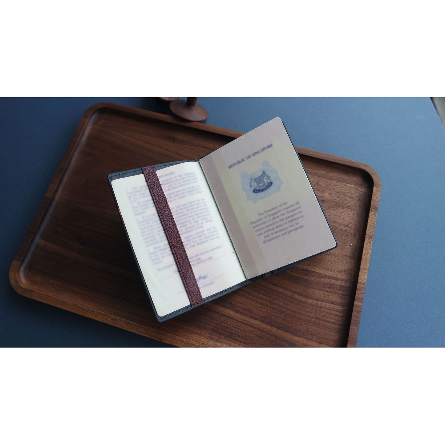 Atlas Passport Sleeve